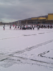 Diehard Football Players